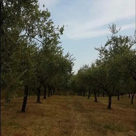 Villa Casamarina *